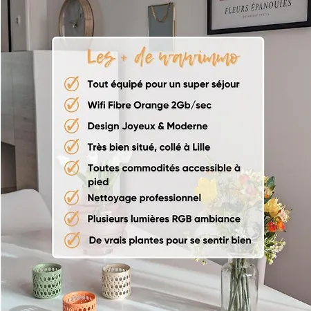 Le Design *vieux Lille*parking Gratuit*fibre Apartment La Madeleine (Nord)